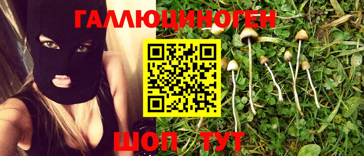 Галлюциногенные грибы прущие грибы  Вход с VPN  Орехово-Зуево 