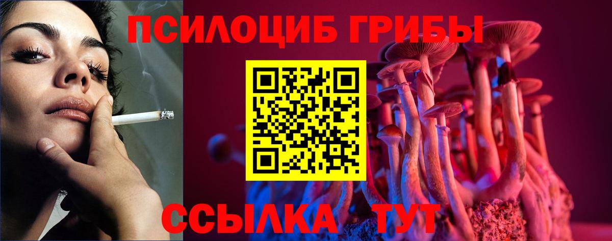 Псилоцибиновые грибы Psilocybe Орехово-Зуево